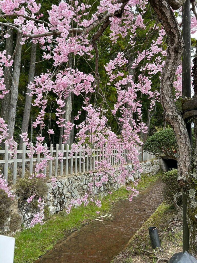 高野山